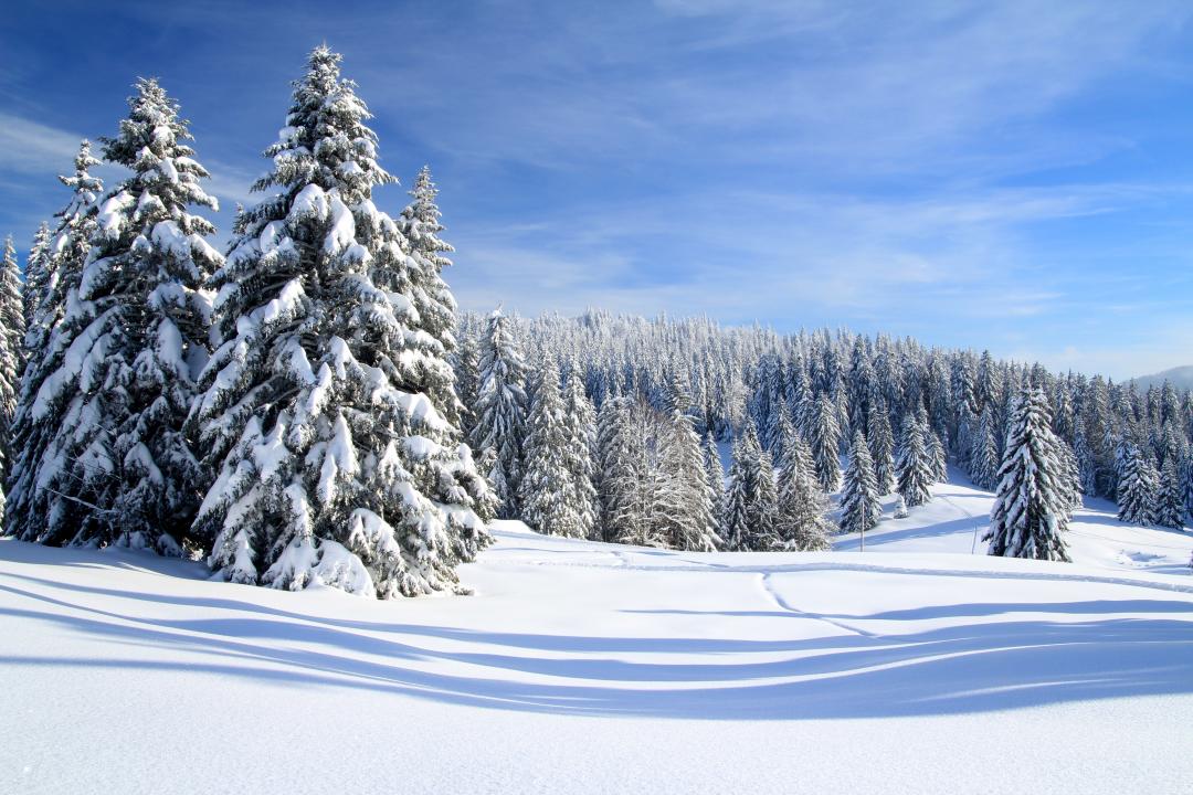 Jura vaudois in winter - la Givrine region