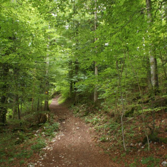 The path "La Ballade à Béatrix"