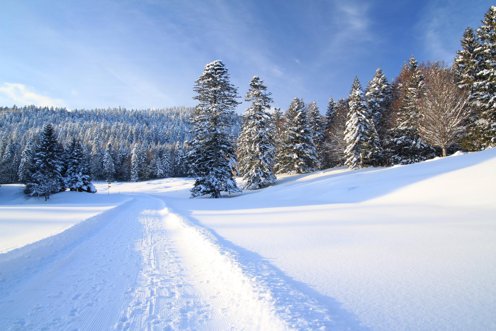 Randonnées hivernales