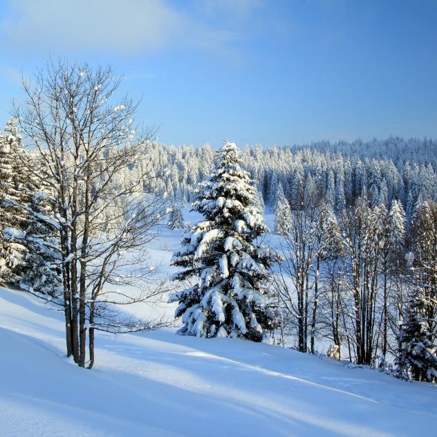 Schneeschuhverlauf La Givrine - Les Fruitières de Nyon - St-Cergue