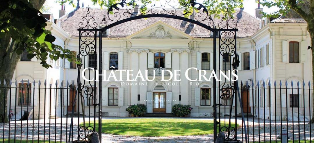 Chateau de crans