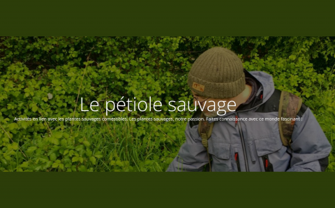 Le pétiole sauvage