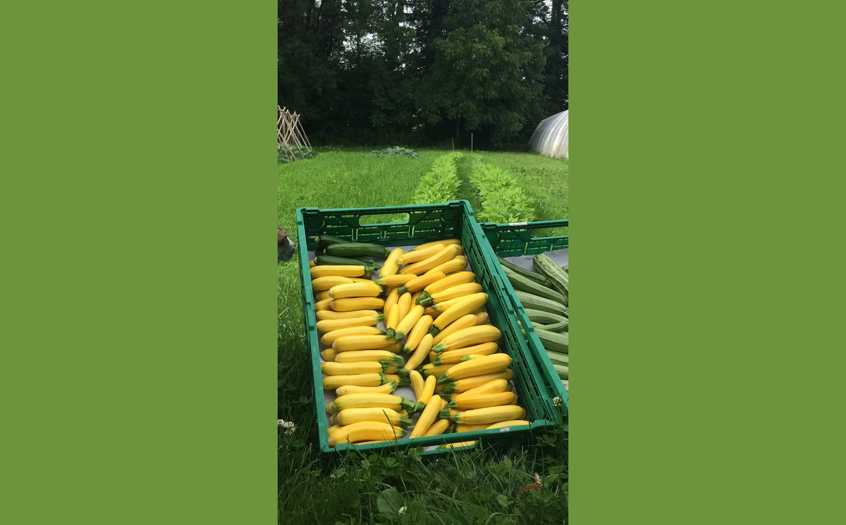 La ferme des Pralies - Marché à la ferme