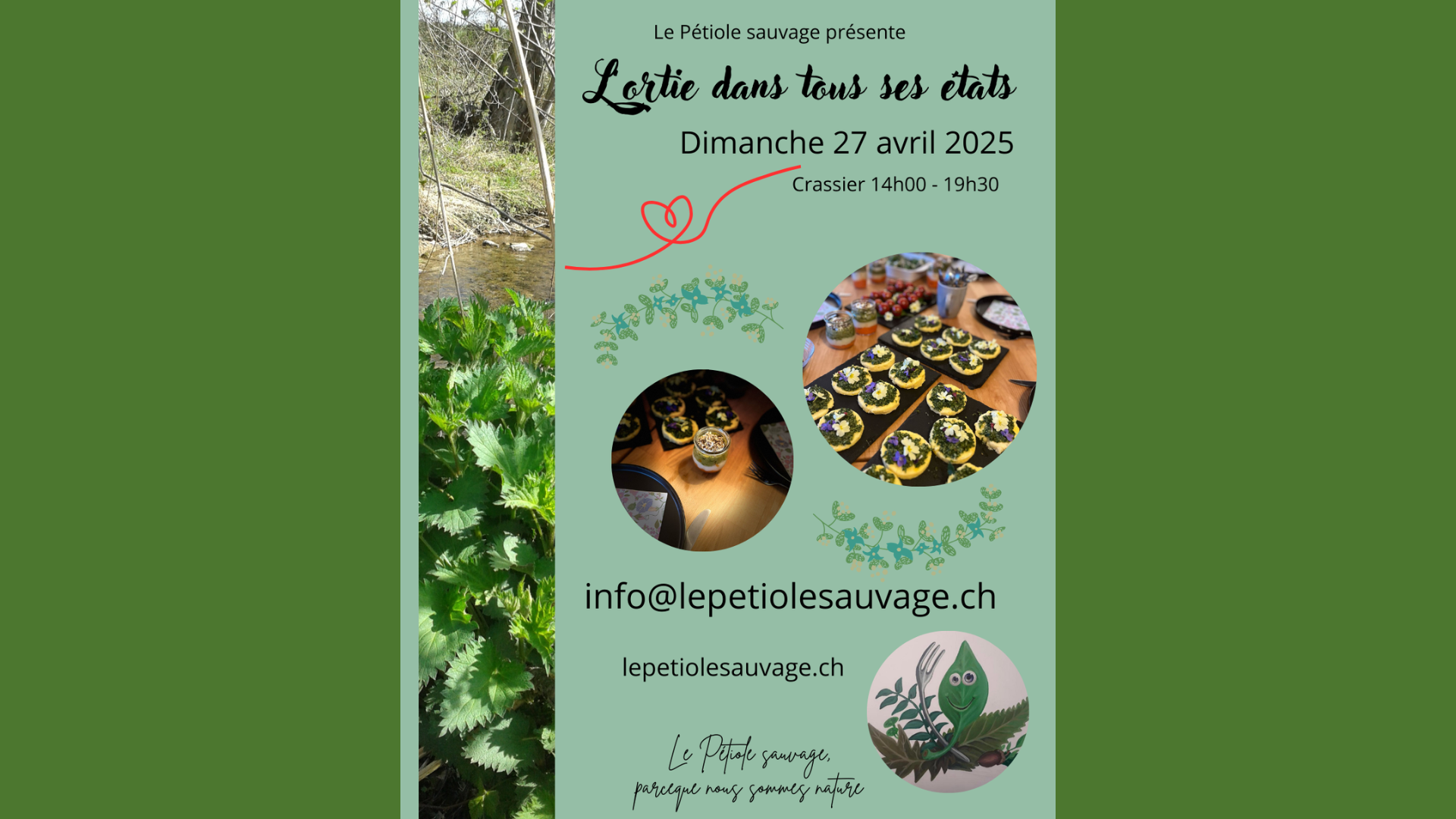 Le Pétiole Sauvage - L'ortie dans tous ses états