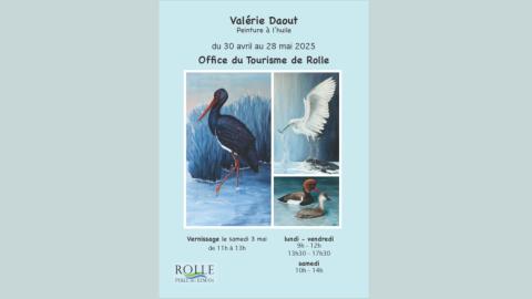 Expo - Valérie Daout