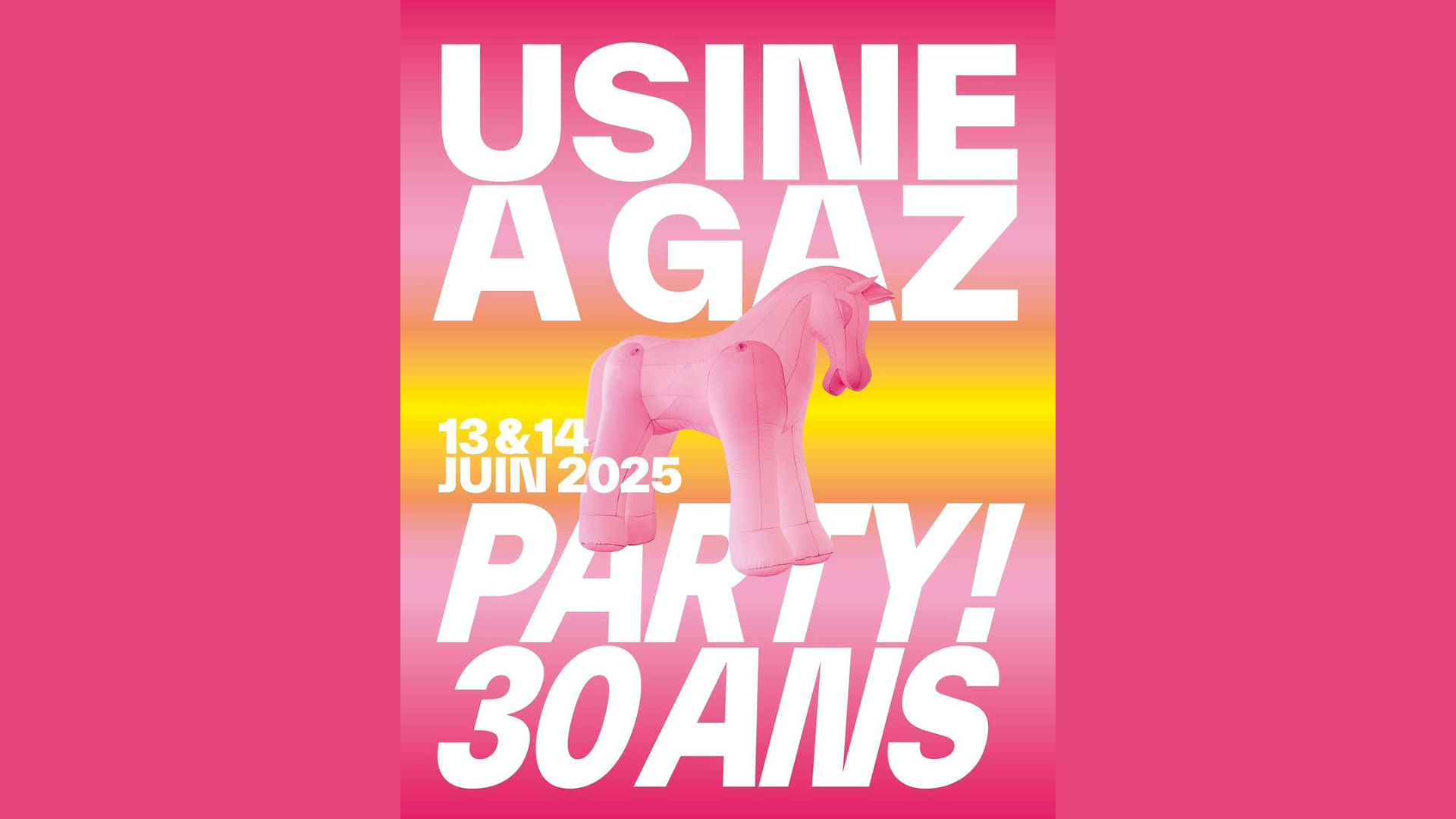 Party 30 ans Usine à Gaz