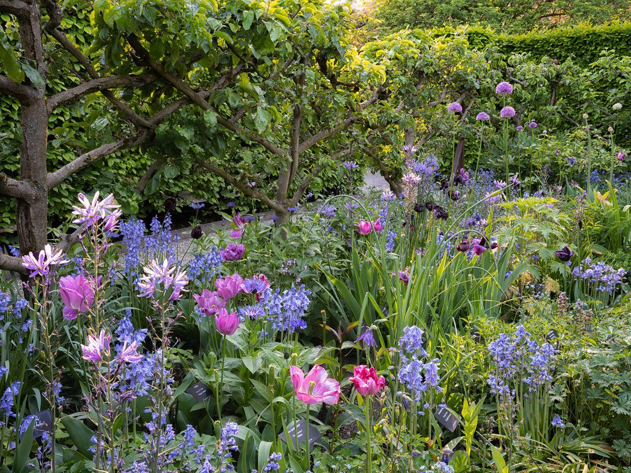 Jardin des cinq sens 