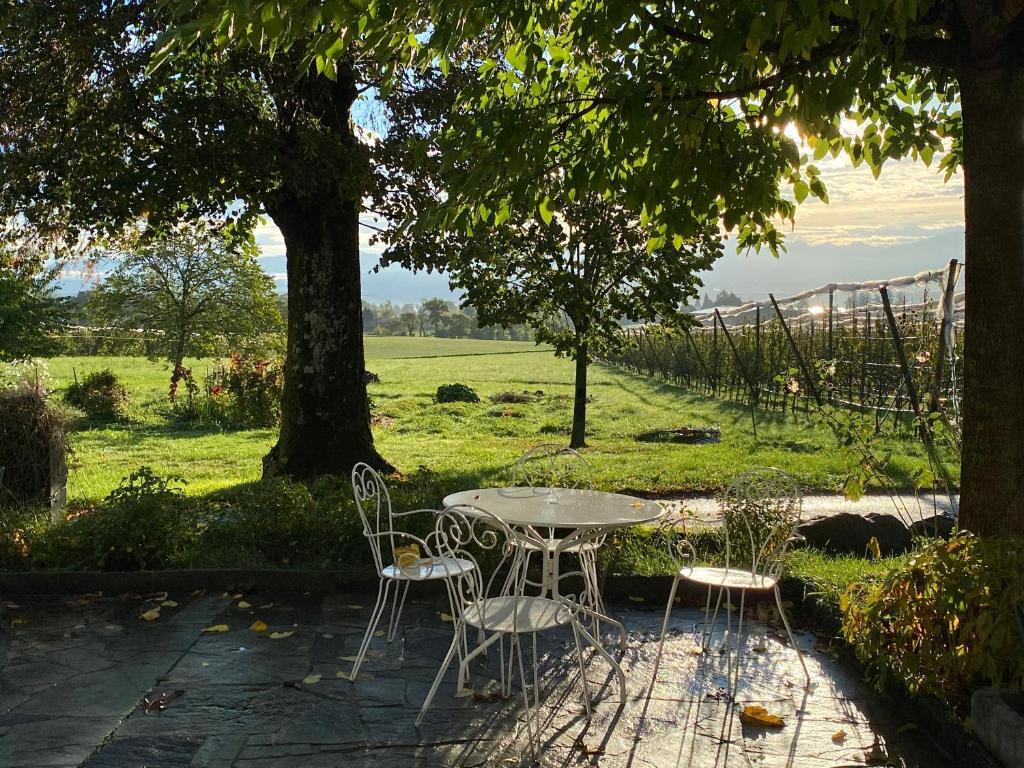 Domaine en trembley