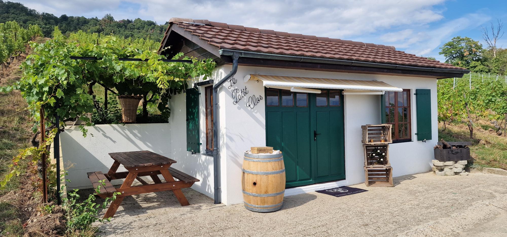 Wine Excape Game Passionnément'vin