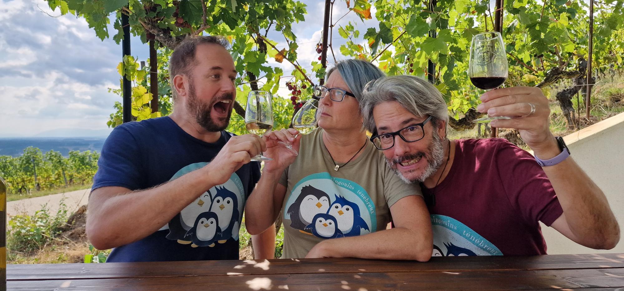 Wine Excape Game Passionnément'vin