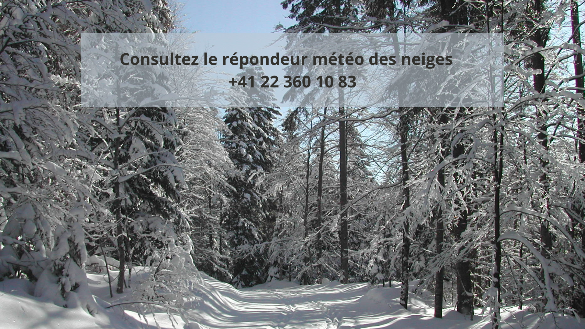 St-Cergue météo neige