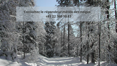 St-Cergue météo neige