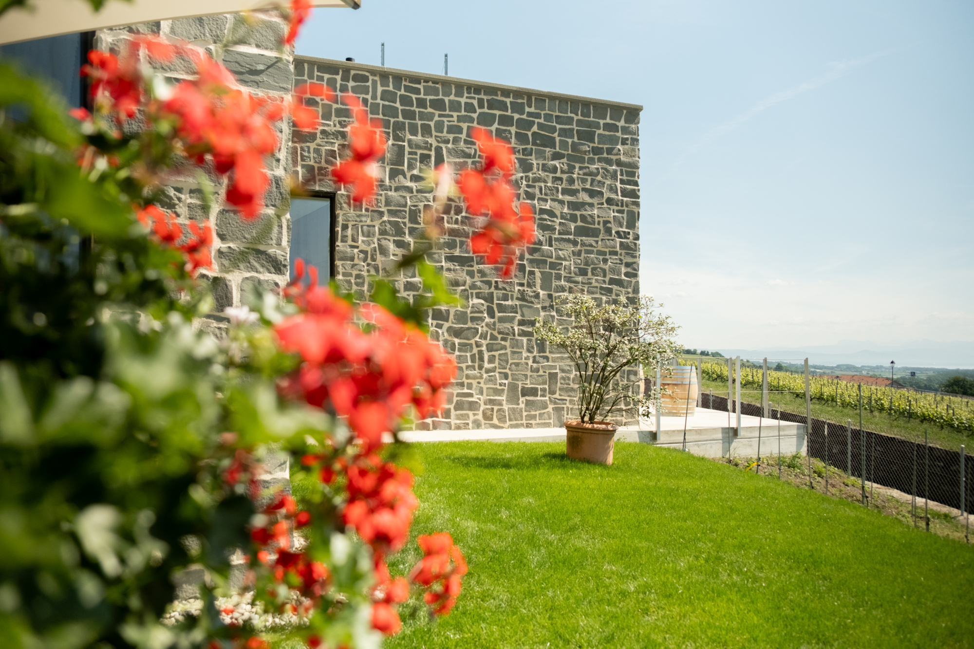 Maison des Vins - PDRA