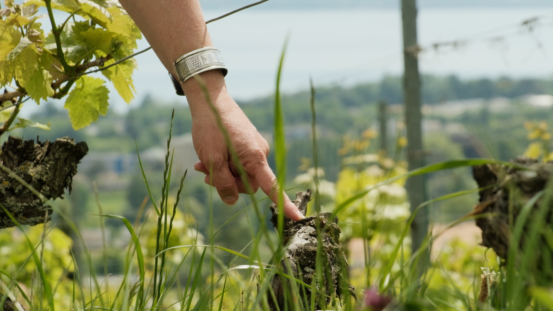 240516_MRT-4.00_00_26_05.Still018