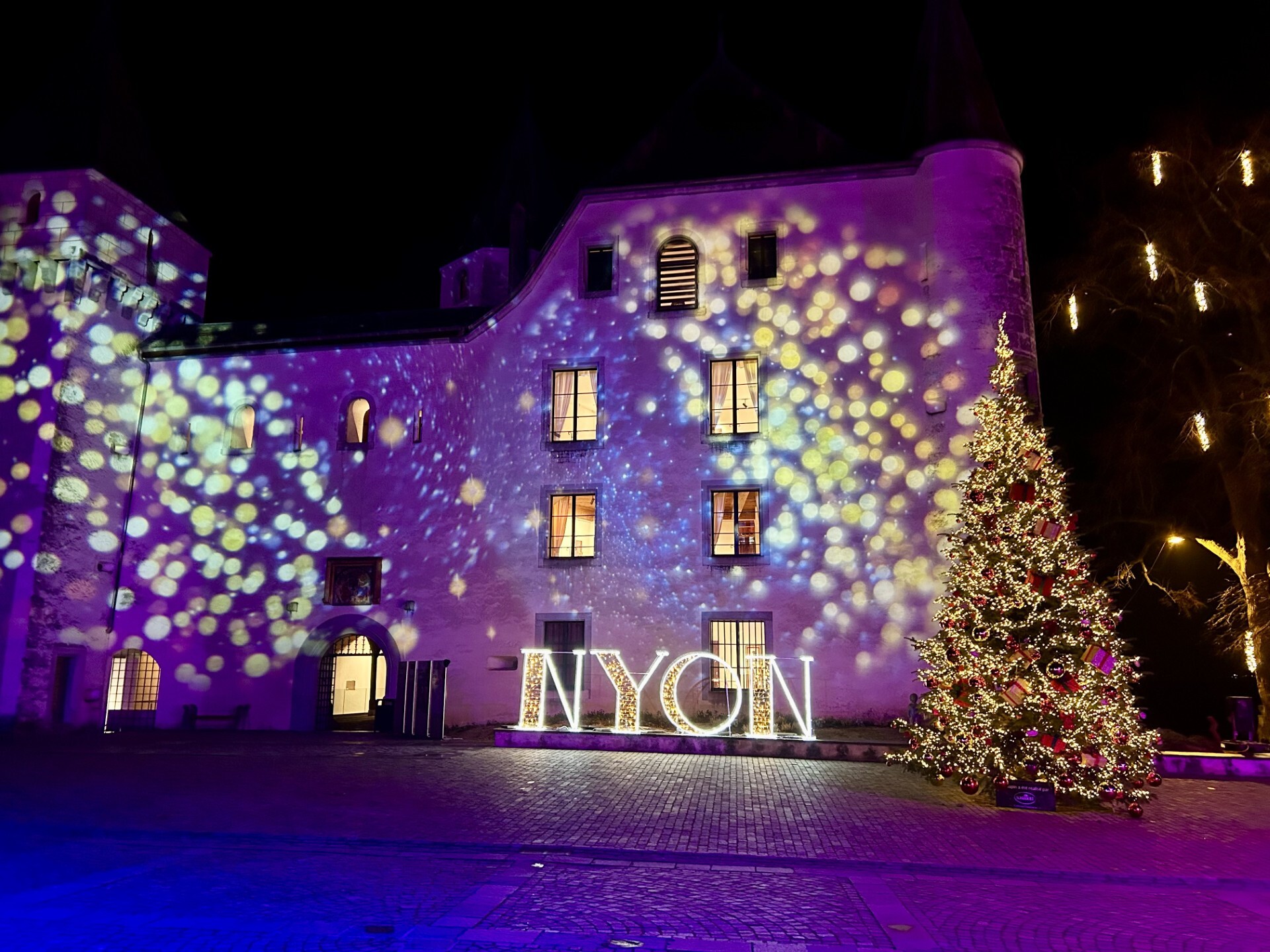 Ch&acirc;teau, Nyon en f&ecirc;te 2025