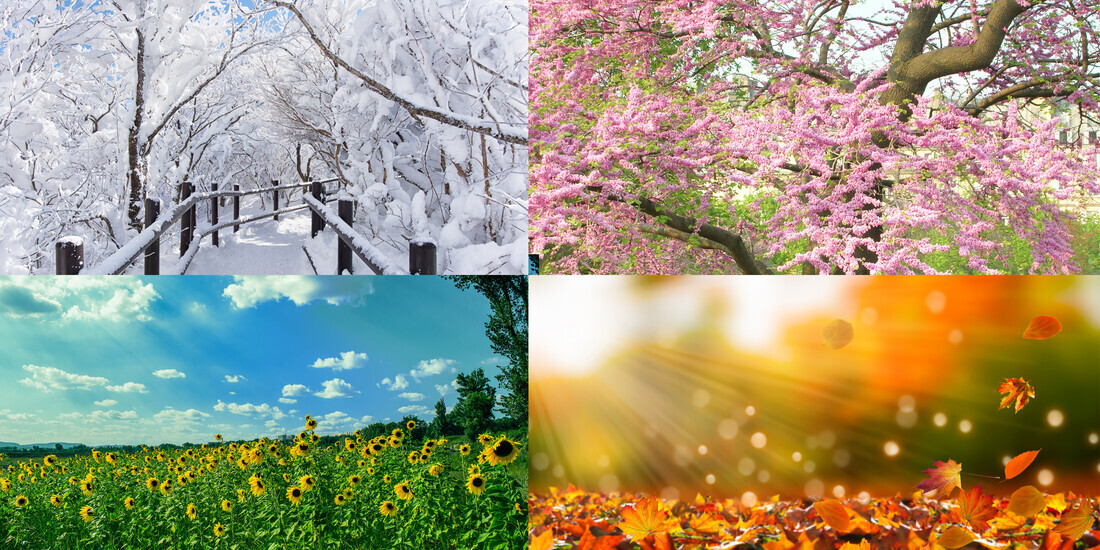 Partages Bien Être au fil des saisons, l'HIVER