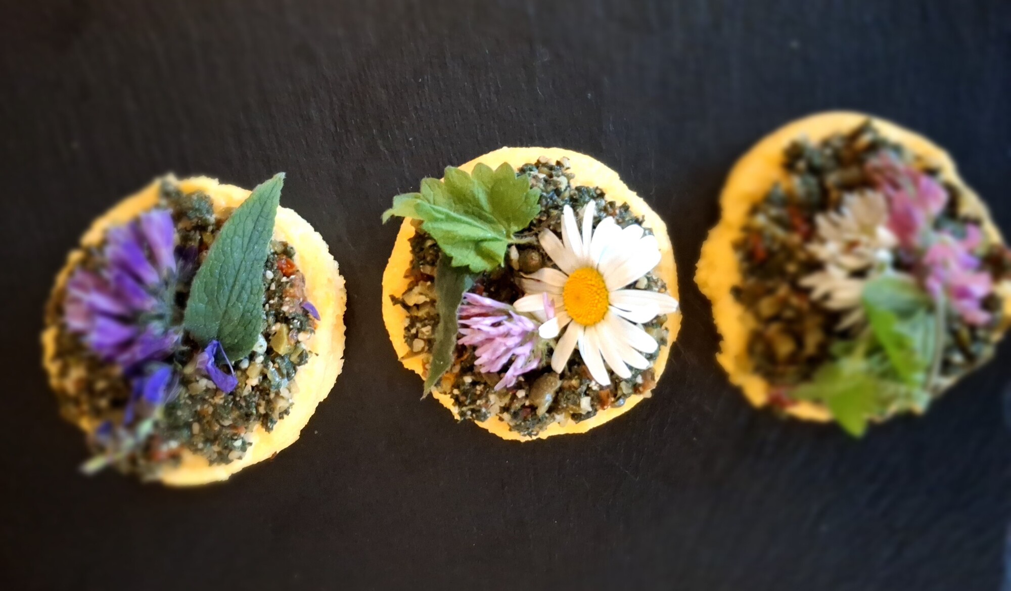 Plantes sauvages comestibles, dessin, cuisine et dégustation