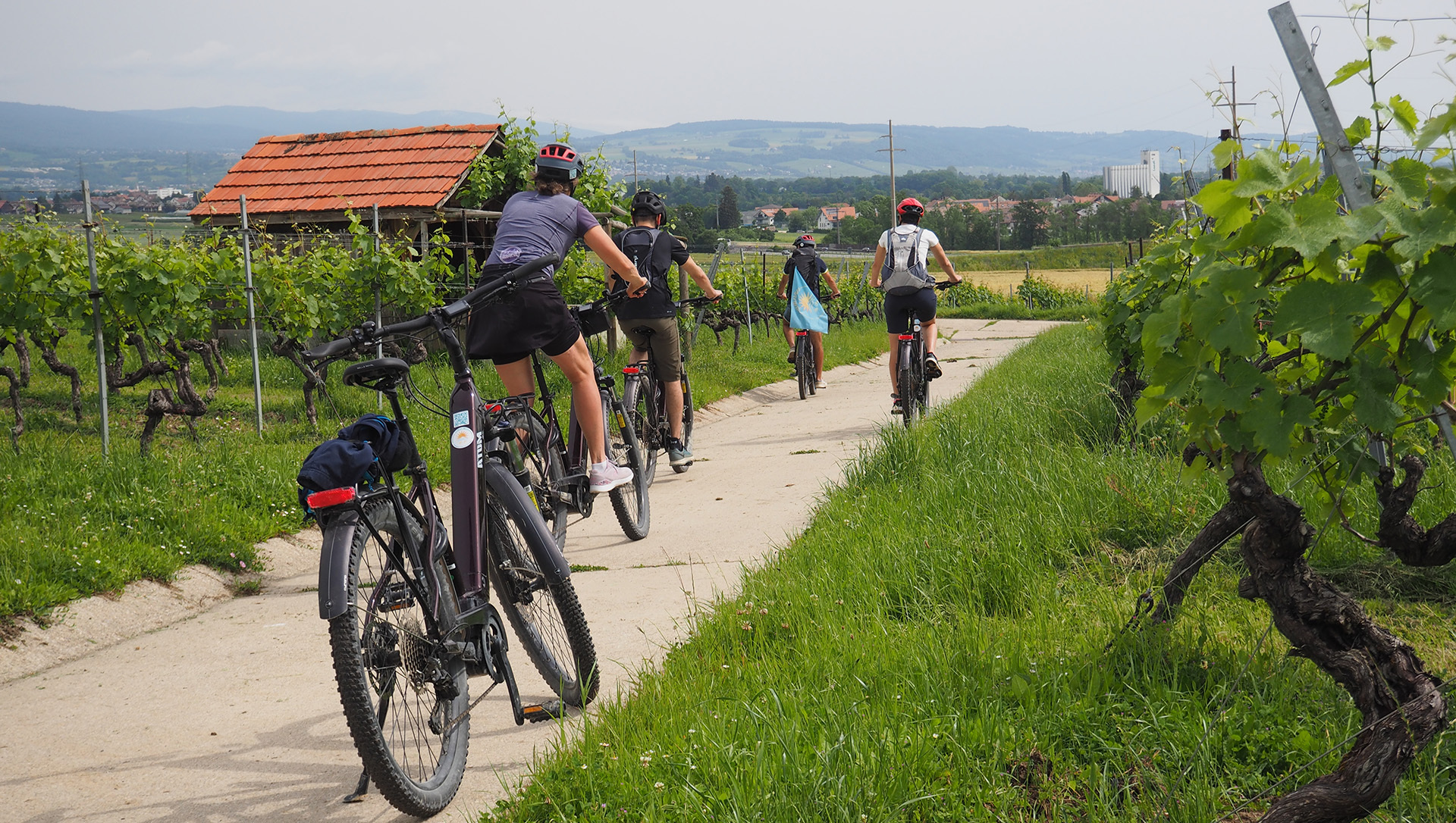 Anima Bikes Tour guidé
