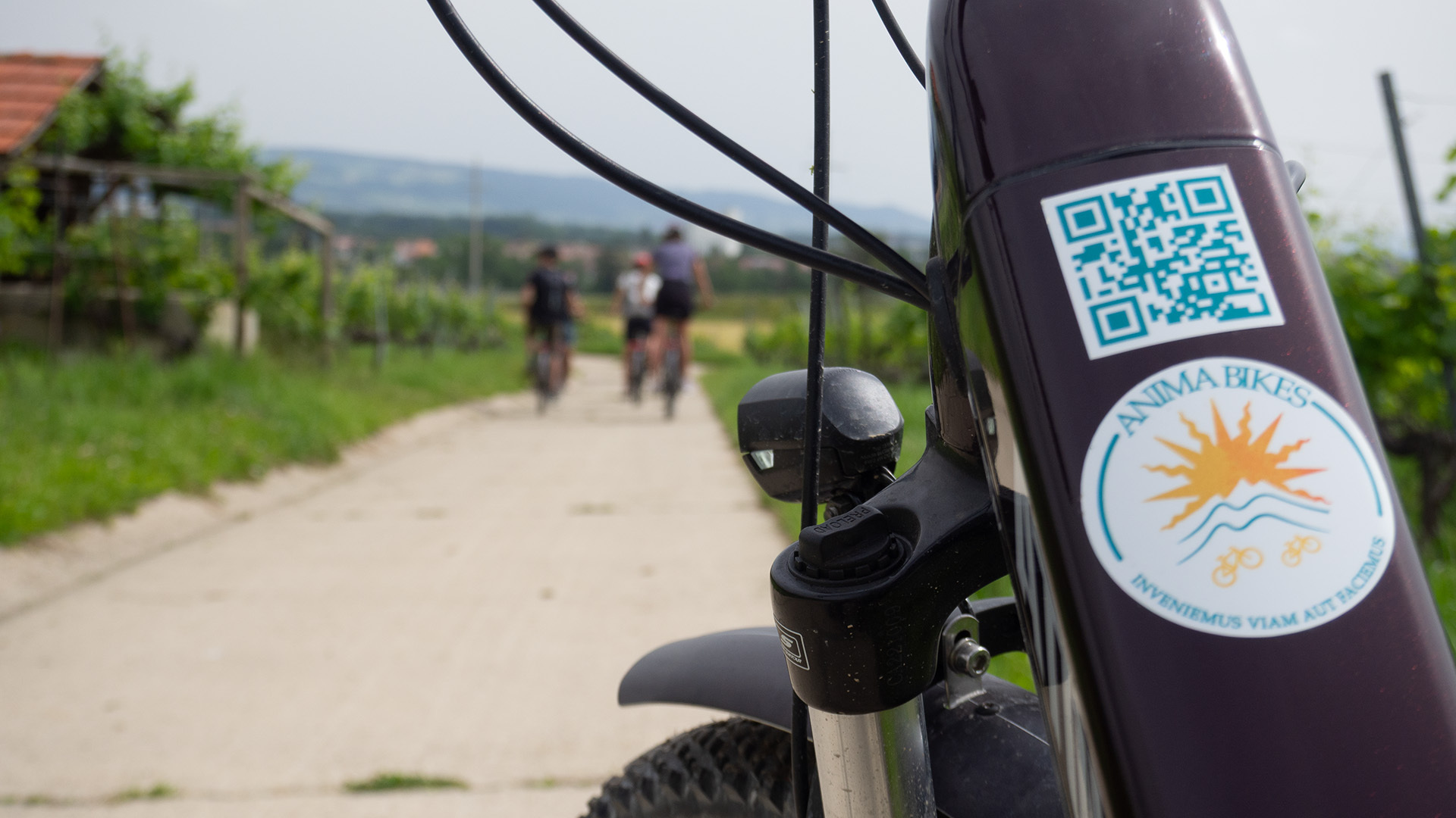 Anima Bikes Tour guidé