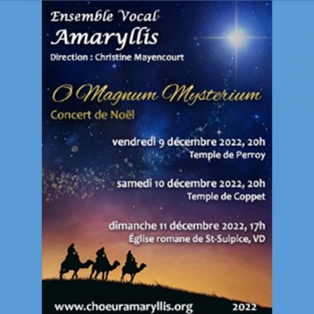 Concert de Noël - Ensemble vocal Amaryllis - Temple de Coppet