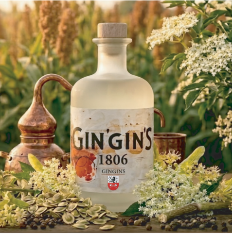 Affiche-GinGinS-e1775056178871.png