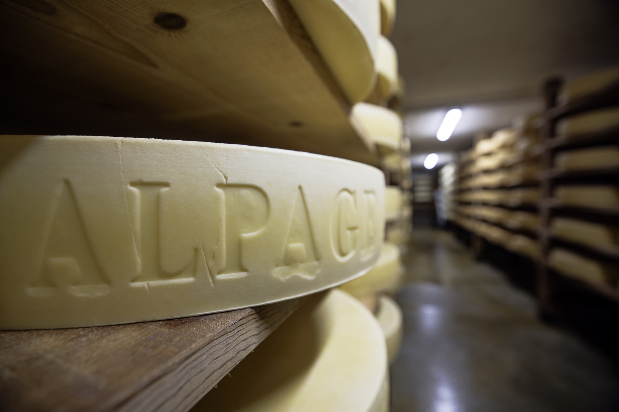 Chalet Alpage la Bassine