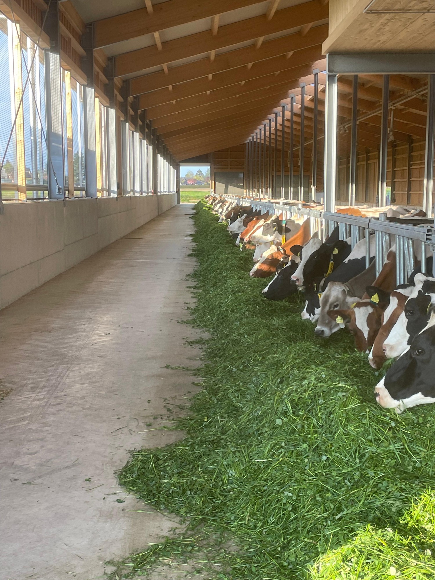 Ferme de Champ Colomb Cossonay