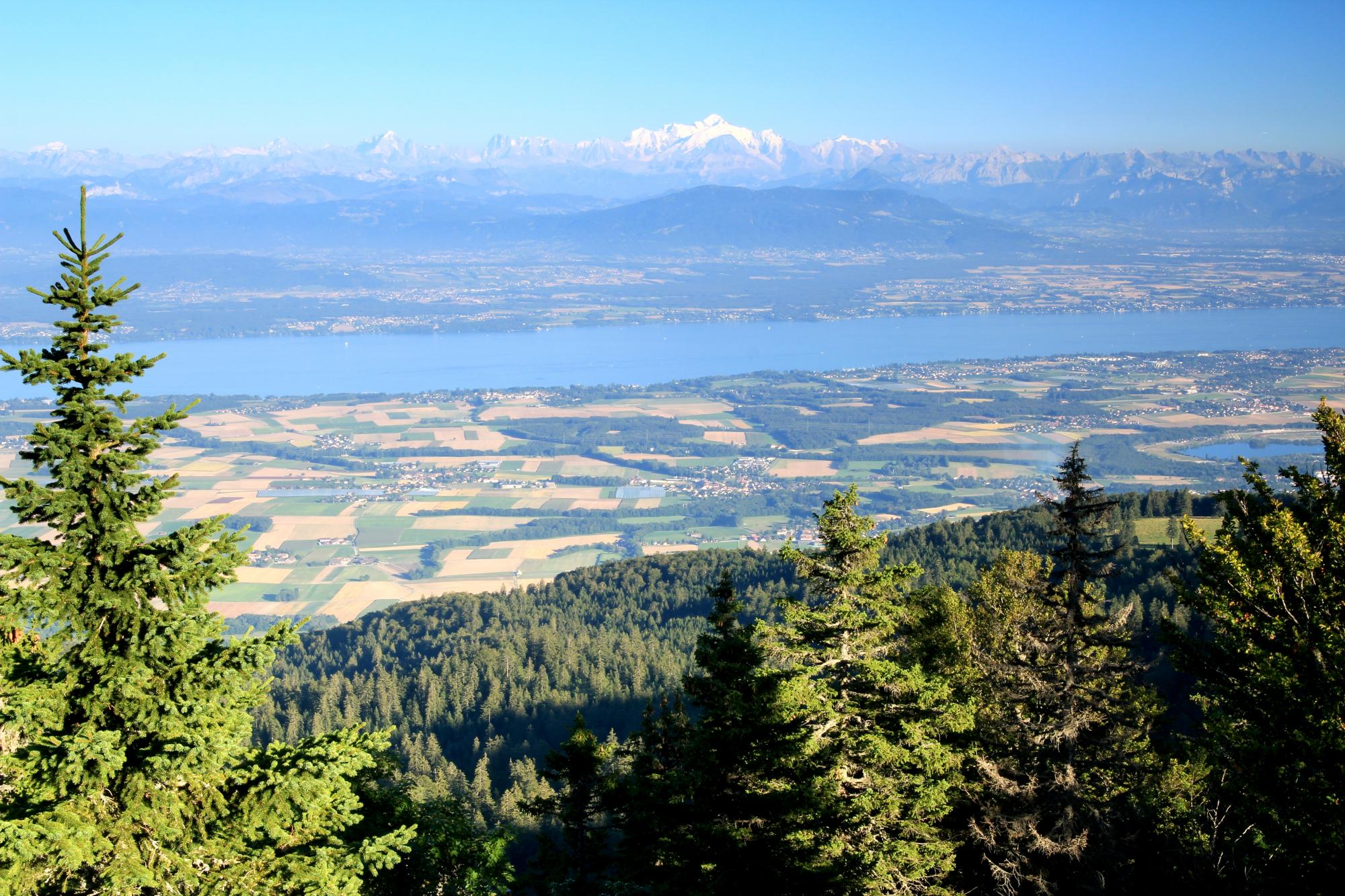 Vue sur le lac et la plaine depuis St.-Cergue