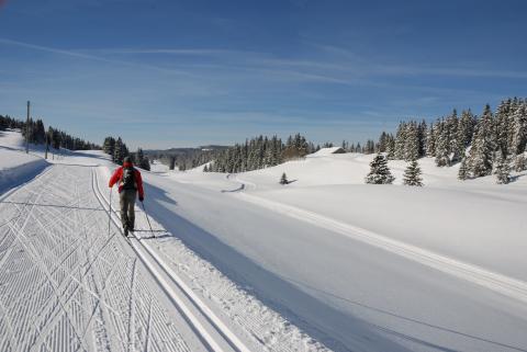 Ski de fond - Vallée de Joux