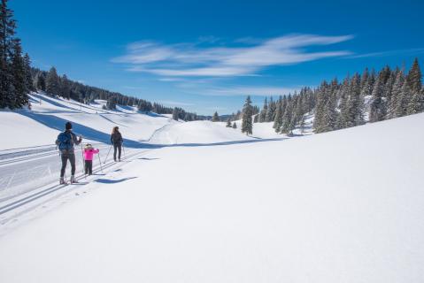 Free cross-country skiing during your stay in the Vallée de Joux!