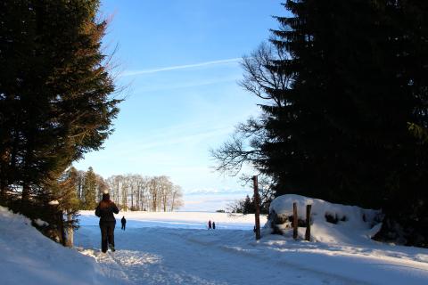 Winter hike on the Pass of Mollendruz