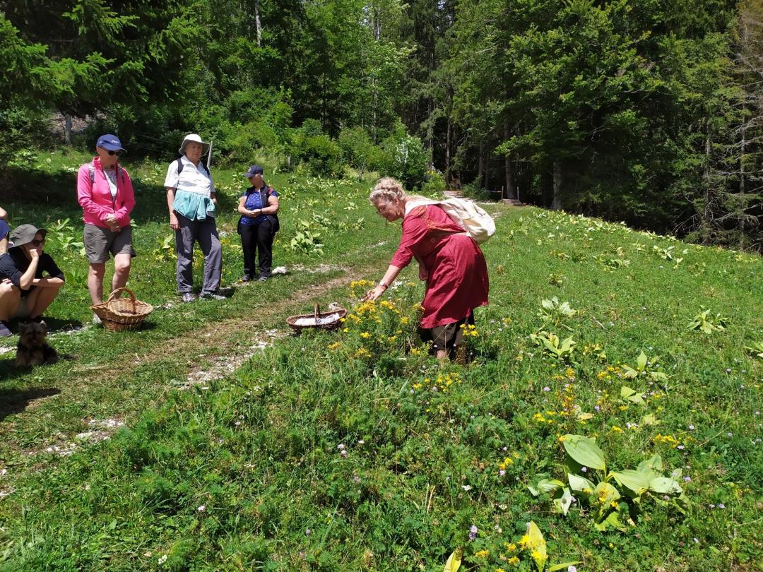 Balade de l'herboriste 1/3