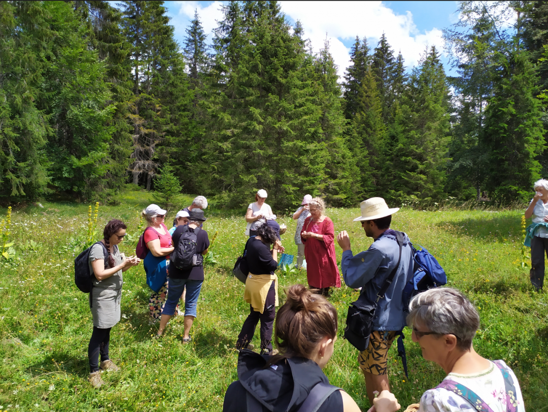 Balade de l'herboriste 2/3