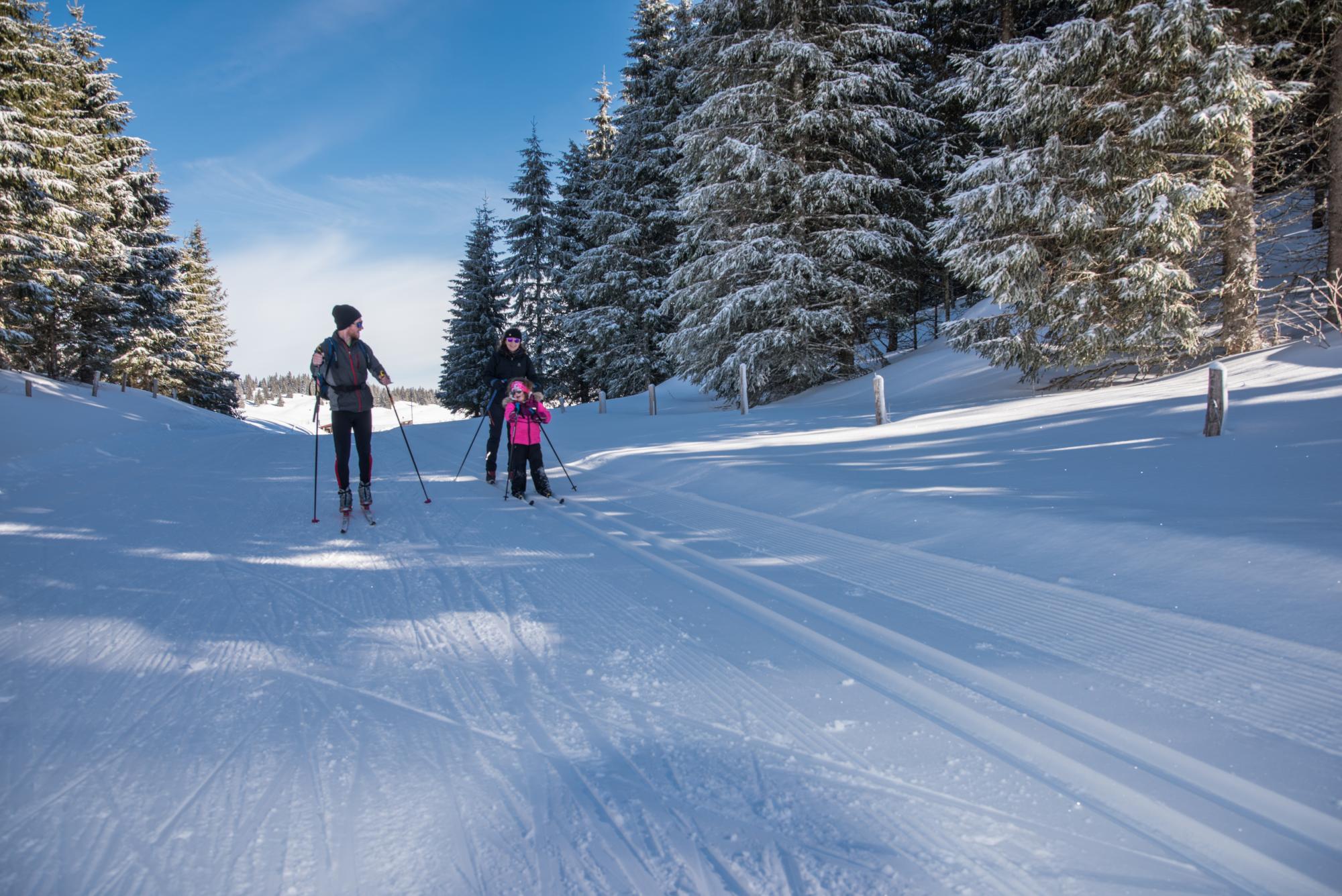 Ski de fond