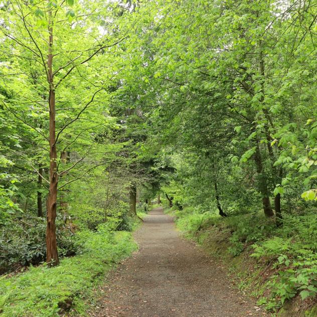 Promenade sensorielle et contes en forêt | Vallée de Joux Tourisme