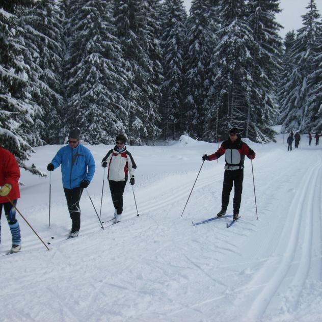 Langlauf- Schweizer Skischule Mollendruz