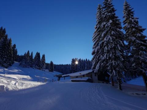 Buvette des Mollards