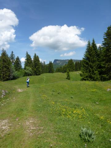 VTT - Les Charbonnières