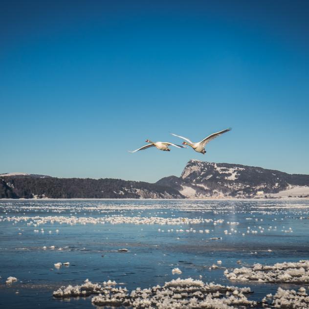Lac de Joux gelé
