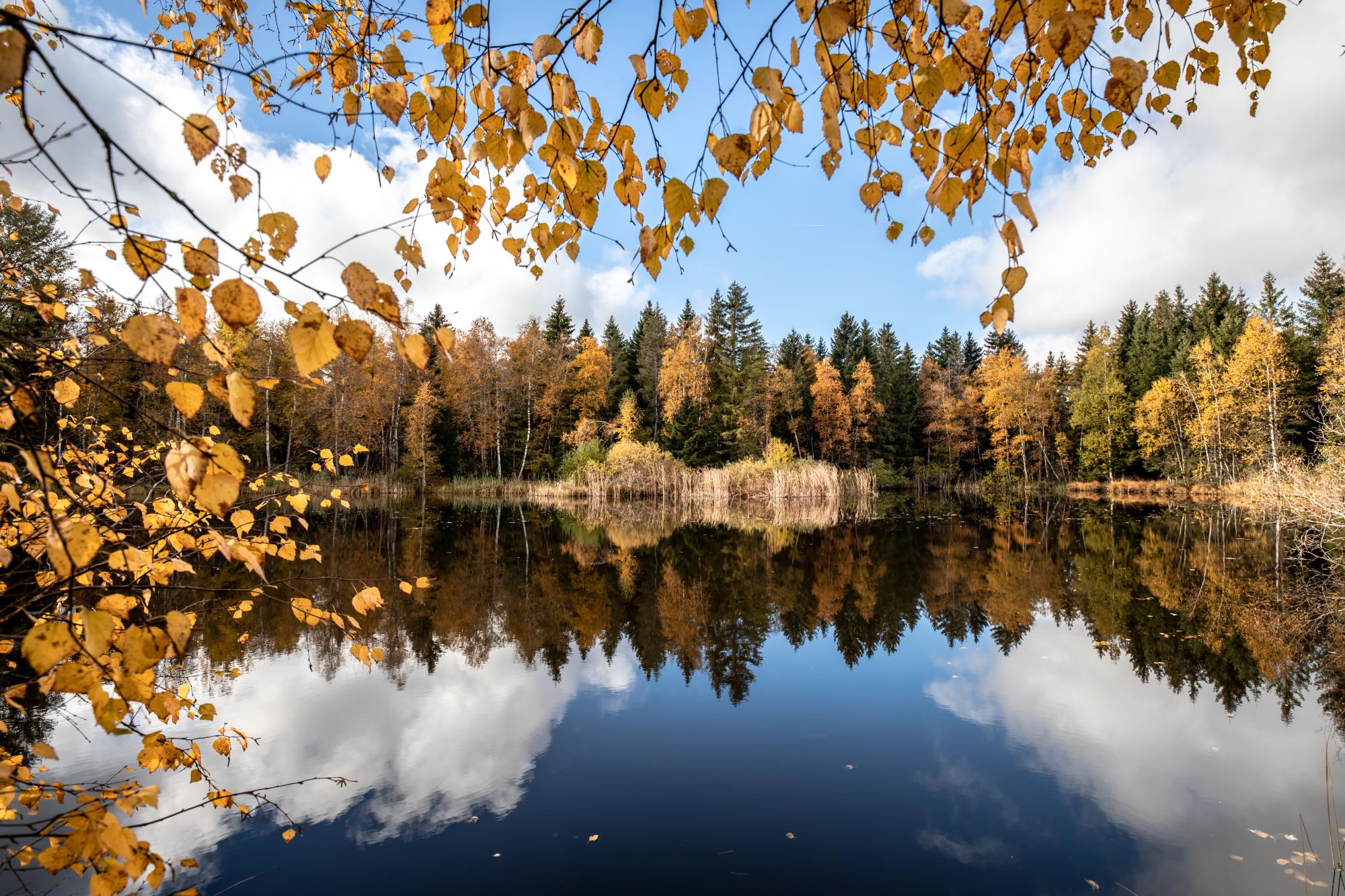 Automne Lac de Joux