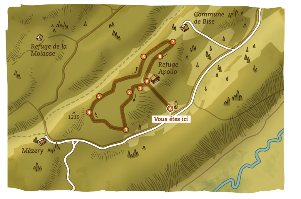 Sentier didactique Les Arbres