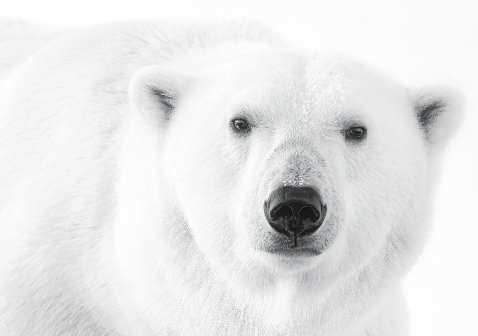 Spitzberg, photographies d'Alain Epplé