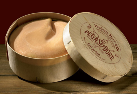 Pégase doré Vacherin