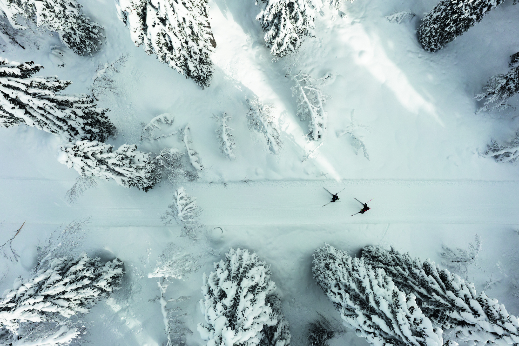 Blick von oben auf eine Frau und ein Mann beim Langlaufen in tief verschneitem Wald.