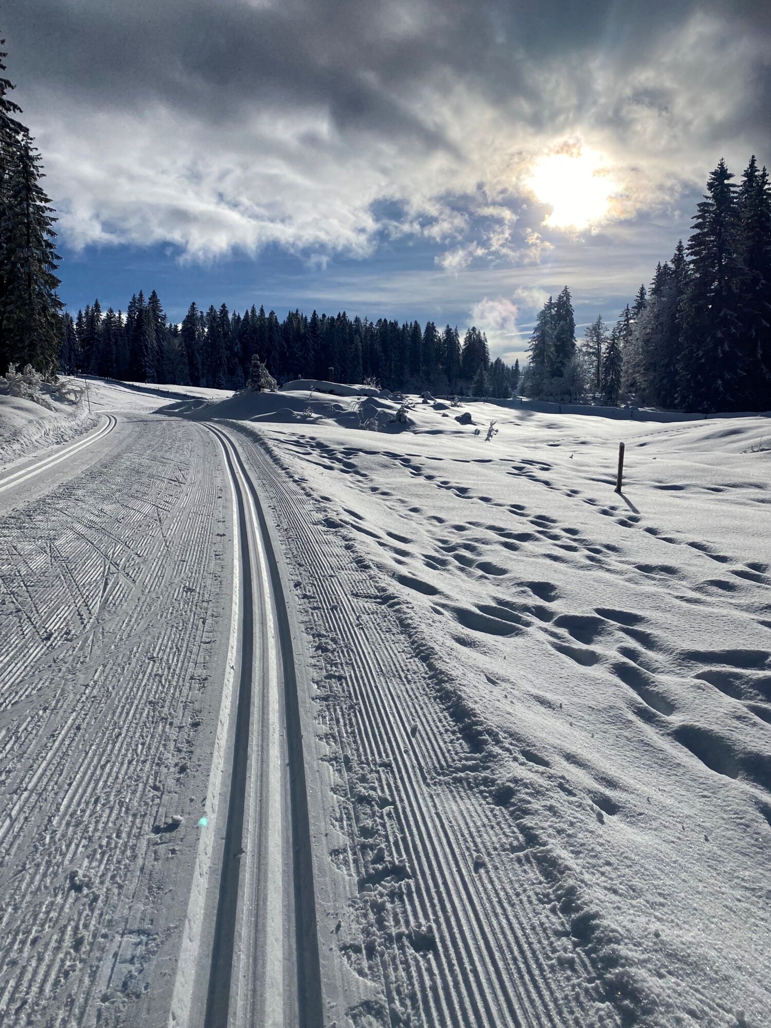 Ski de fond - saison