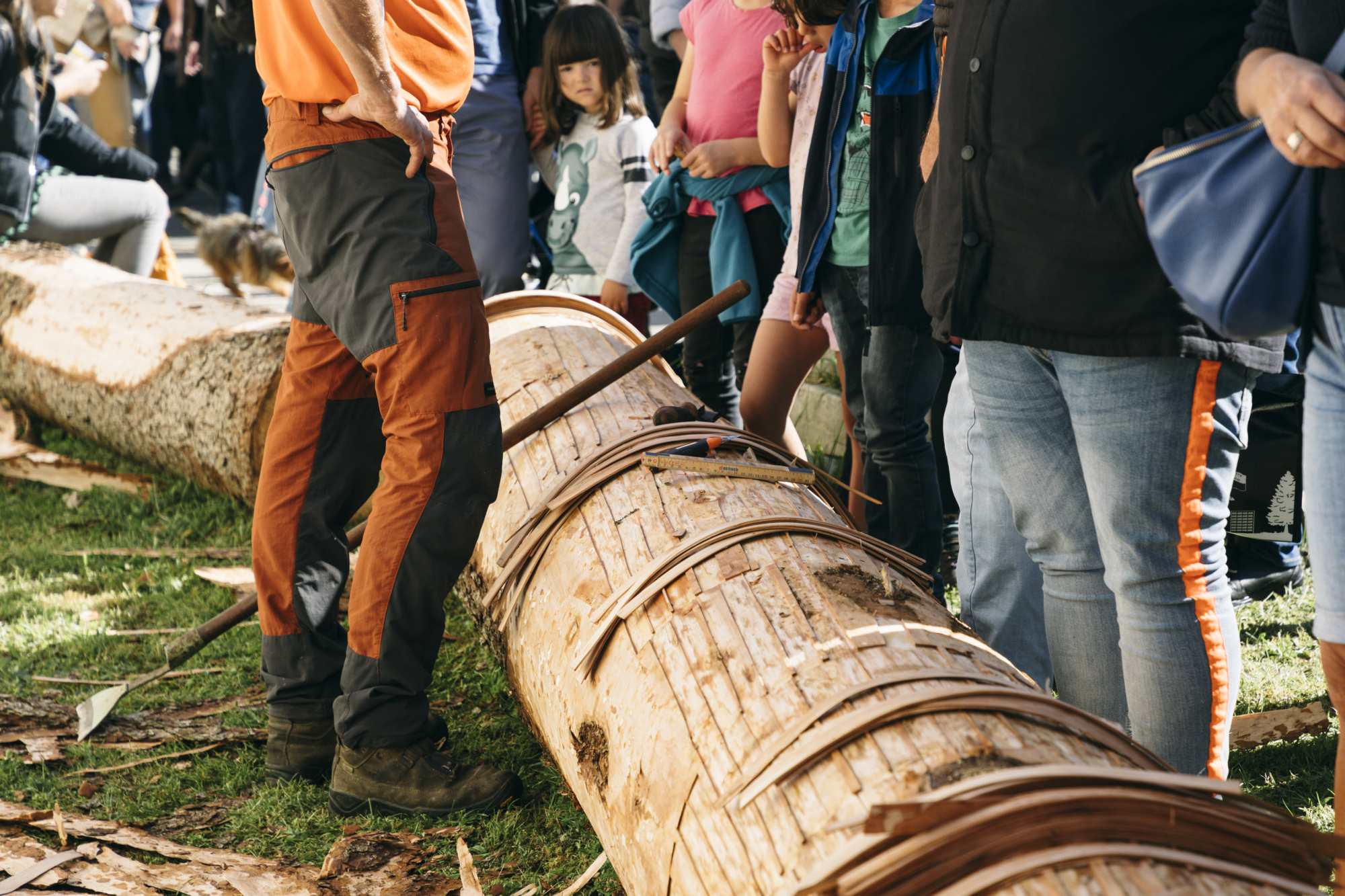 @VictorBerthoud (77)