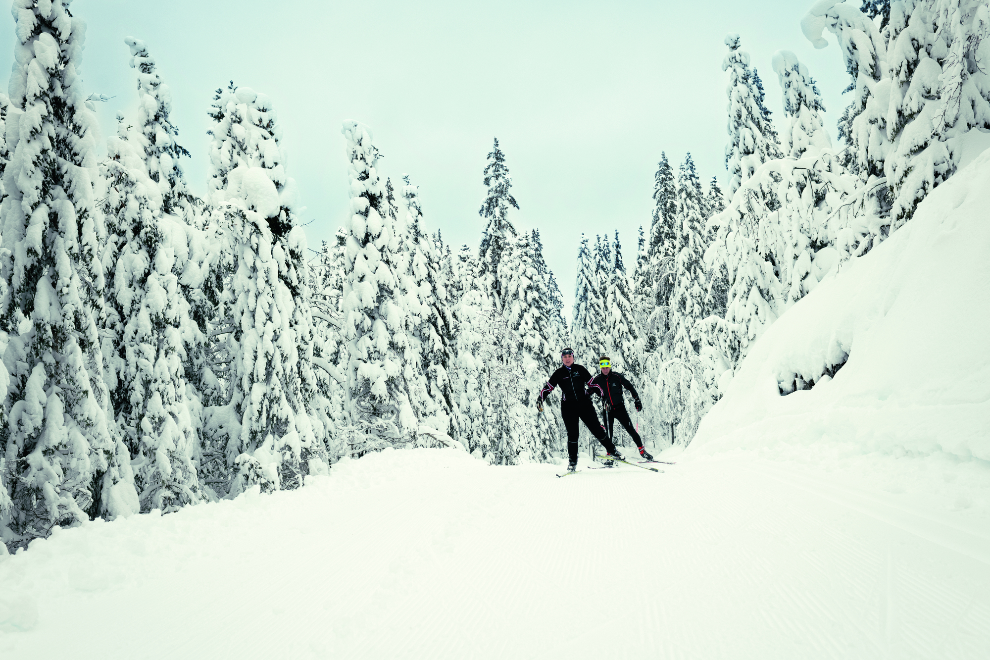 Ski de fond - activité hivernale