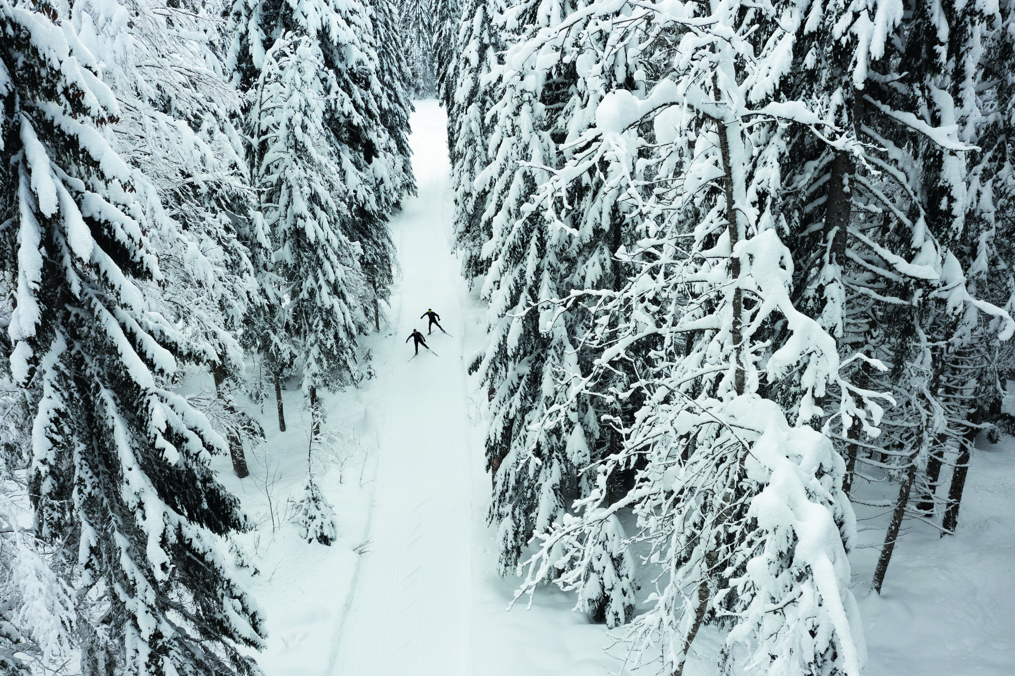 Langlauf - Marchairuz