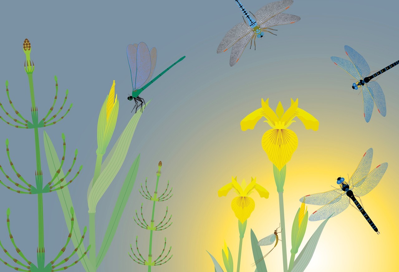 Lot De 10 Supports Muraux Pour Piste Hot Wheels - En PLA Noir - Pour Exposition Des Voitures