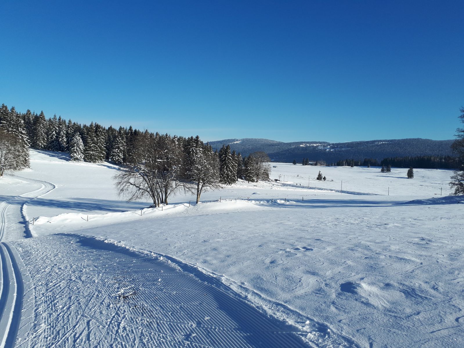 Ski de fond - Les Charbonnières